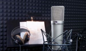 professional voice over services